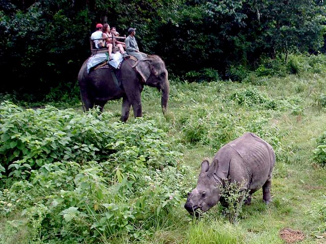 Chitwan Jungle Safari