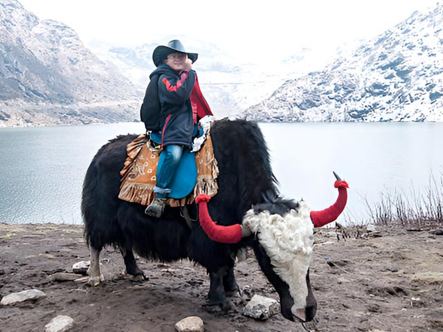 Yak Riding in Sikkim
